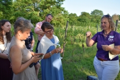 Garten-Gipfel 2019