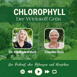 Podcast Chlorophyll